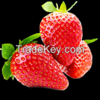 Fresh Strawberry