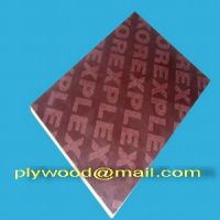 China Plywood Factory and Exporter