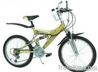 20inch bicycle