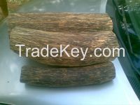 agarwood log