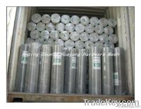 Hot-dipped Galvanized Welded Wire Mesh