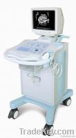 Ultrasound Diagnotic Equipment