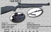 Pump Air Rifle