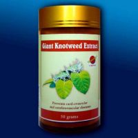 Giant Knotweed Extracts