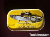 Canned Sardines Fish