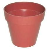 Biodegradable Flower Pots