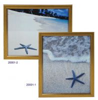 Plastic Picture Frame