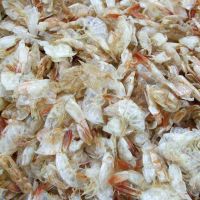 Dried Shrimp Shell