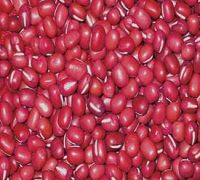 https://es.tradekey.com/product_view/Adzuki-Beans-1304681.html