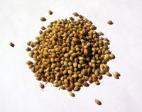 Ecological products :coriander seeds, rye, pease, barley