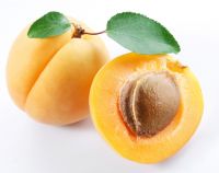 Apricot  oil