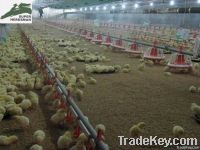 Environmental Control Poultry Equipment