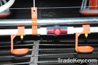 Water receiving cup for broiler