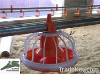 Poultry feeder pan
