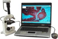 Illuminated digital microscope Younnat 2P1 Video 80x-400x