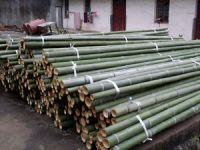 bamboo  sticks/pole/fencing