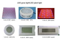 led plant grow light