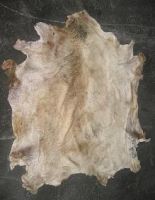 Wet Salted Hair Sheep Skins