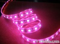 Flexible LED 5050 strip