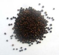 Black Pepper