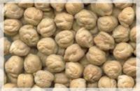 Kabuli Chick Peas