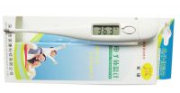 digital thermometer