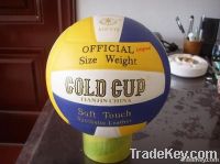 Gold Cup Volleyball-Original