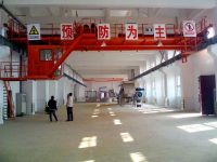 Double Girder Overhead Crane