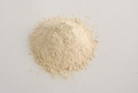 dehydrated garlic powder