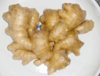 Ginger, Fresh Ginger