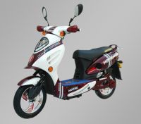 Electrical Scooter Exporter