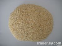 Dehytrated Garlic Granule