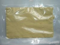 dried ginger powder