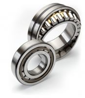 full complete cylindrical roller bearing