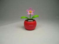 Promotion solar flower