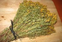 St Johns Wort, dried, 100g