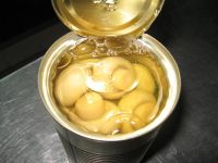 canned mushroom