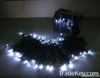 Solar  string light