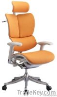 Stylish Ergonomic Office Chair