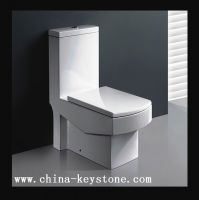 Toilet/Toilet Bowl/Bathroom Toilet/Flushing Toilet