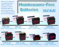 maintenance free battery series
