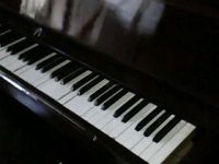 https://www.tradekey.com/product_view/Ed-Tambaoan-Piano-Repair-Shop-since-1968--1333710.html