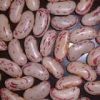 Light Speckled Kidney Beans