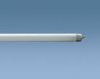 T5 fluorescent lamps