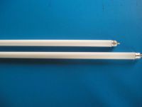 fluorescent lamps