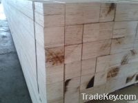 Poplar LVL For Packing and doors export to Korea market