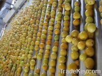 Apricot puree