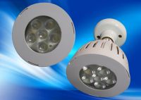 PAR 38 LED commercial light