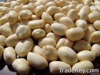 blanched peanuts kernel