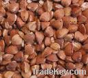 BUCKWHEAT (origin China)